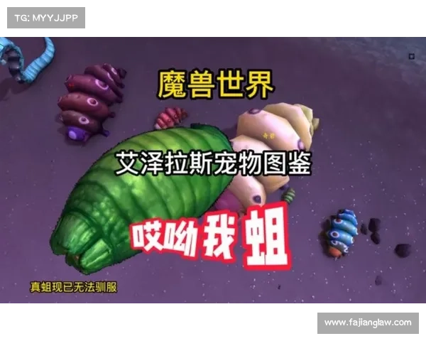 魔兽世界宠物伤害:解密中心 魔兽世界宠物伤害:解密中心